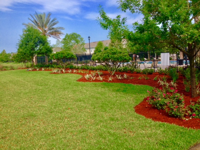 Landscaping Service in Jacksonville, FL