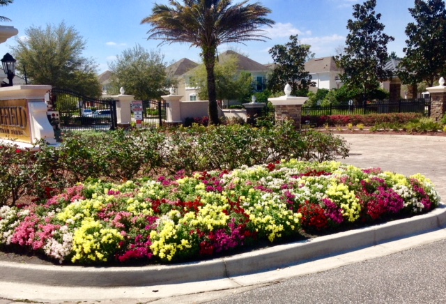 Landscape Design and Installation in Jacksonville, FL Landscape Design and Installation in Jacksonville, FL